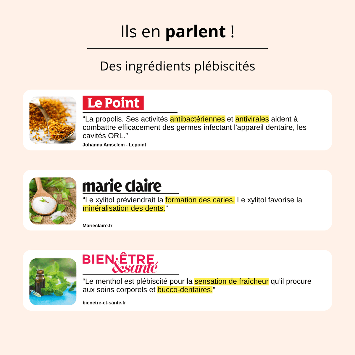 Le Bain de Bouche en sachet
